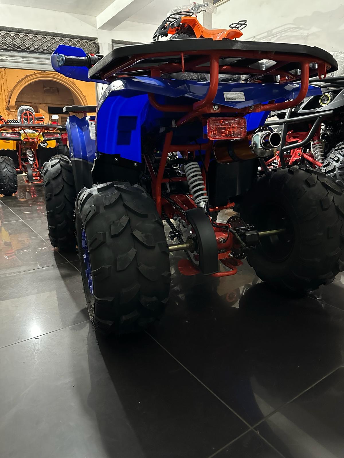 Quad Atv Hunter Pro 125cc R8