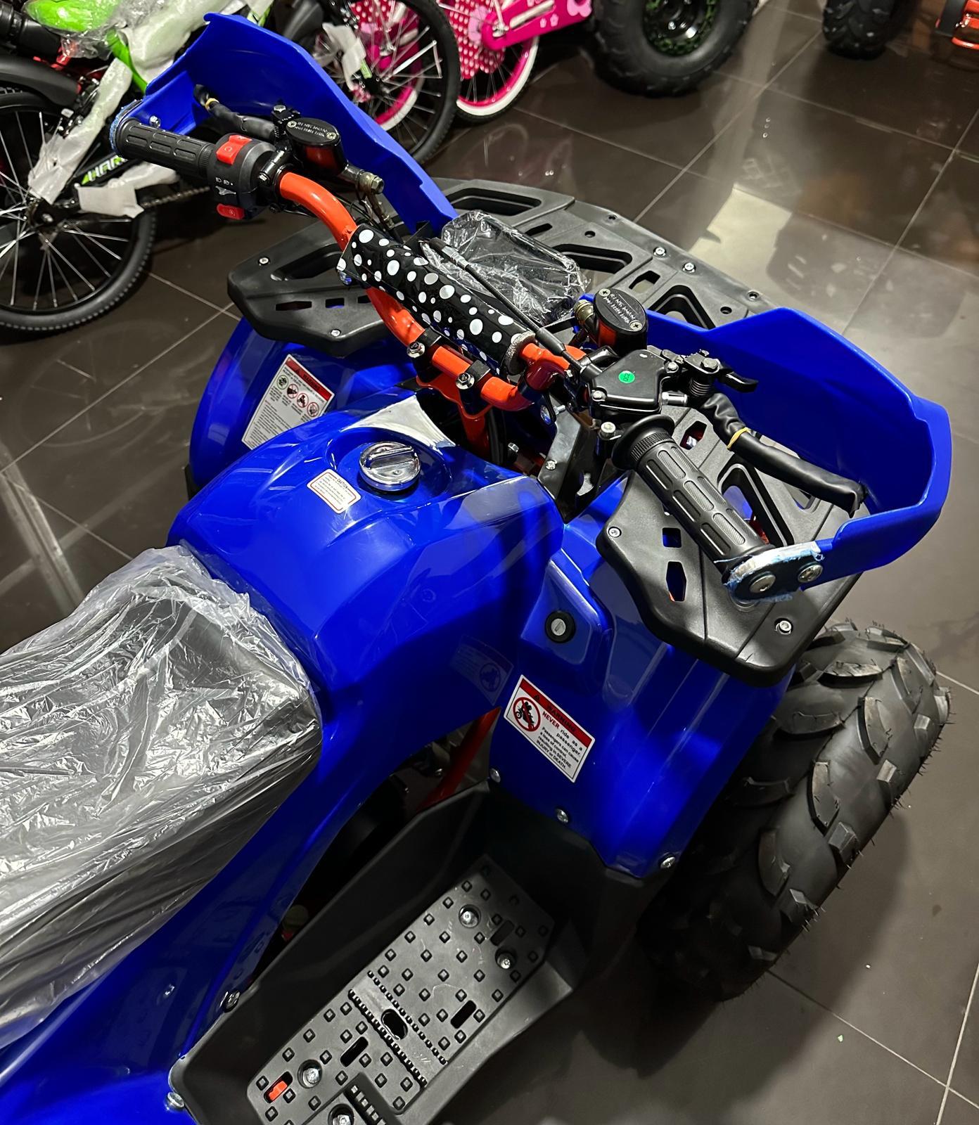 Quad Atv Hunter Pro 125cc R8