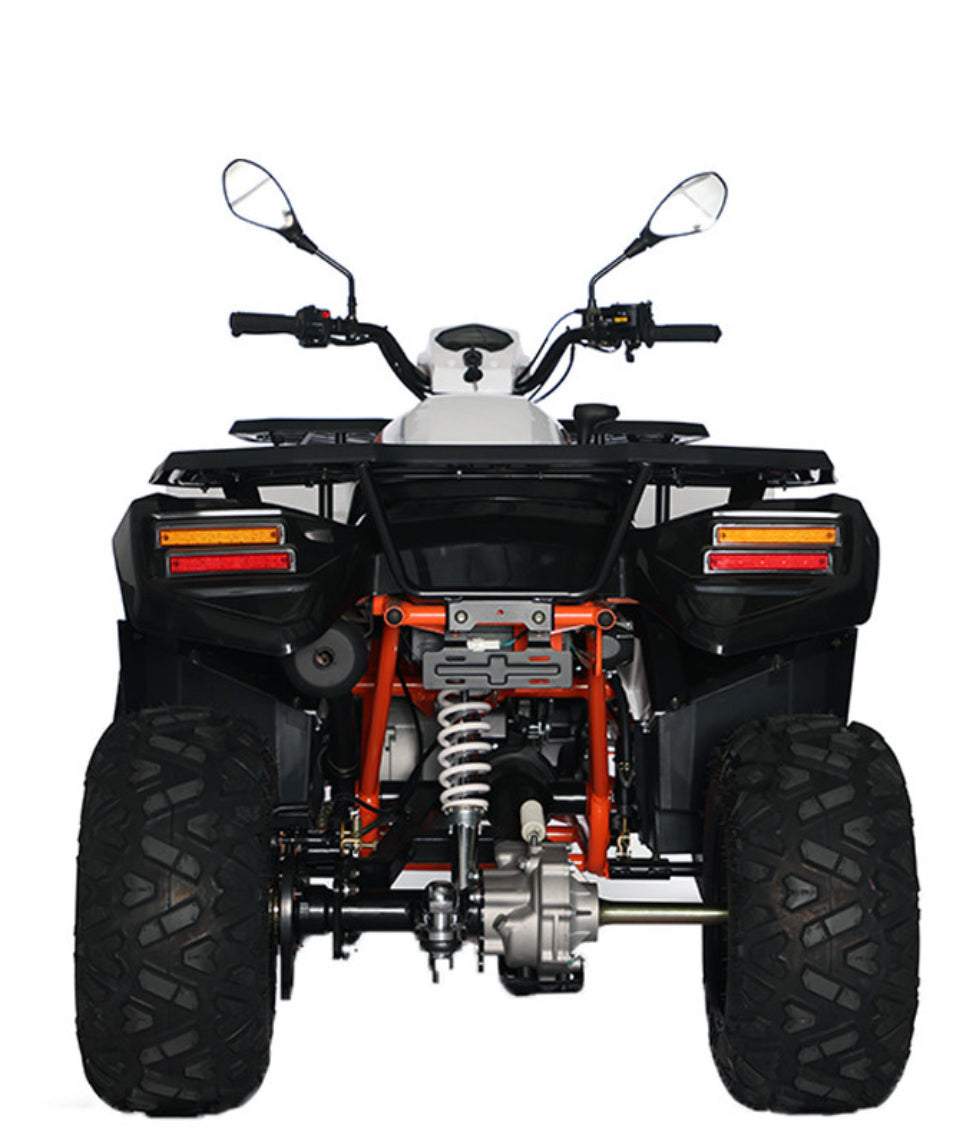 Quad Kayo AU300 T3b omologato x2   *CHIEDERE DISPONIBILITÀ TRAMITE WHATSAPP *