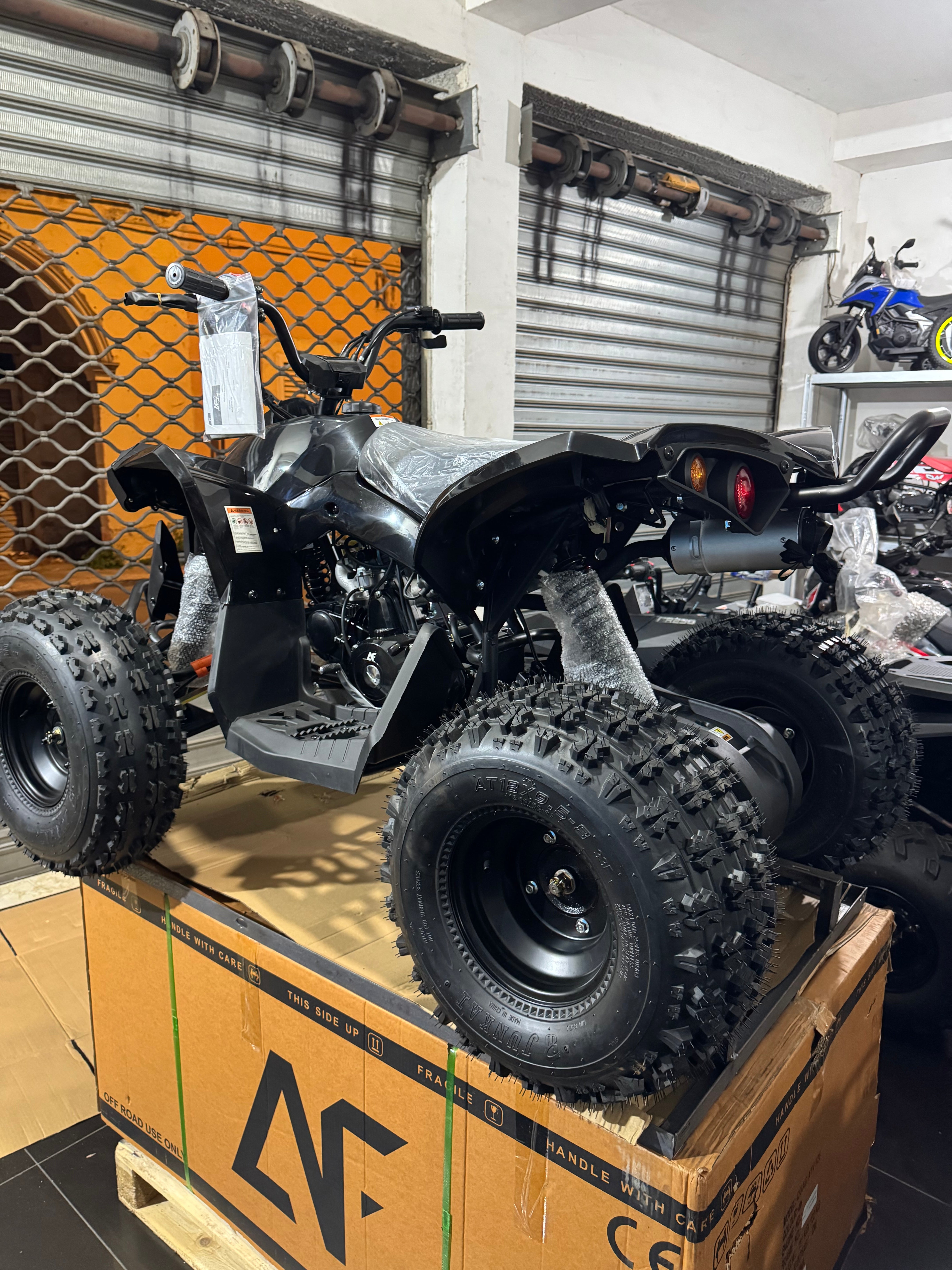 Quad AF Motors RENEGADE 125cc 4 Tempi  Ruote 8” 1 + R TOTAL BLACK