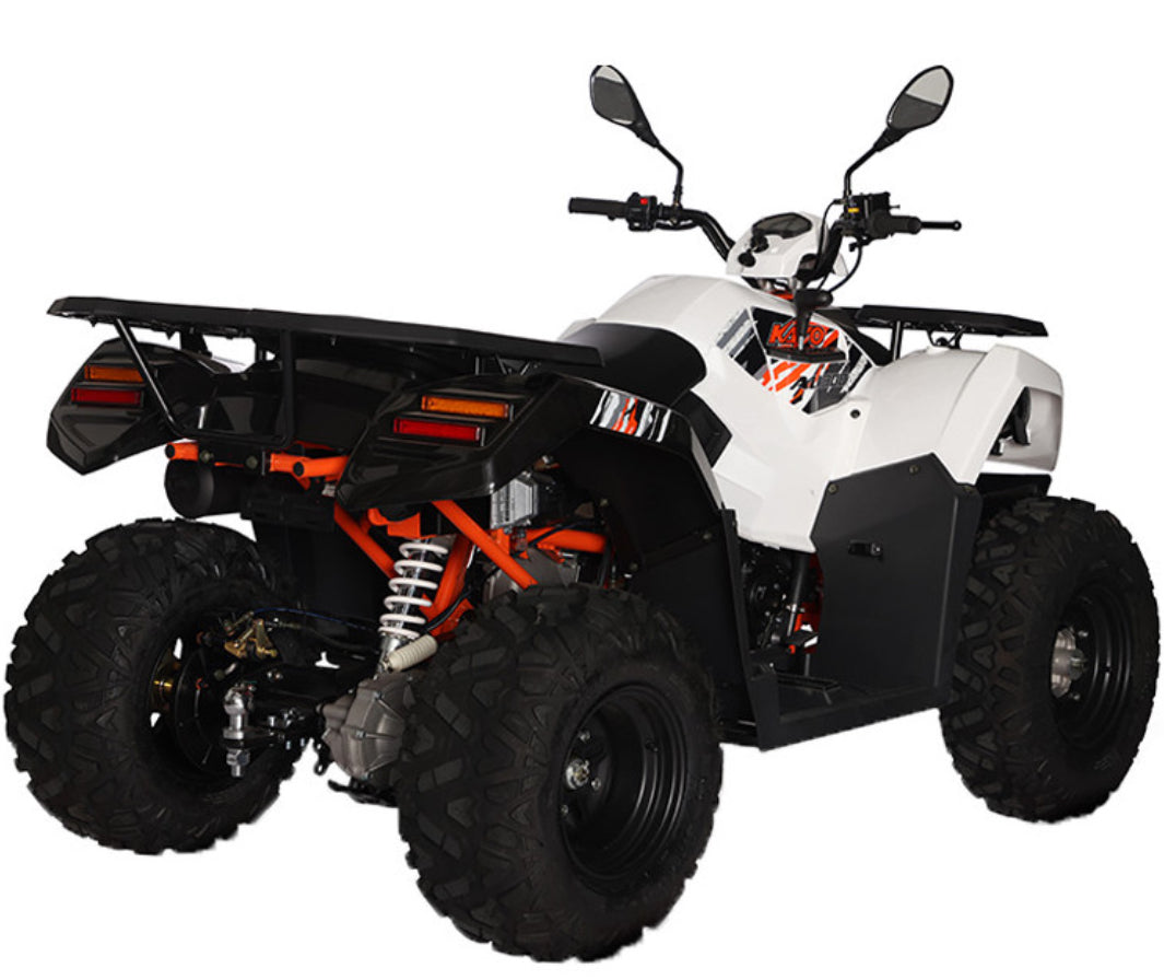 Quad Kayo AU300 T3b omologato x2   *CHIEDERE DISPONIBILITÀ TRAMITE WHATSAPP *