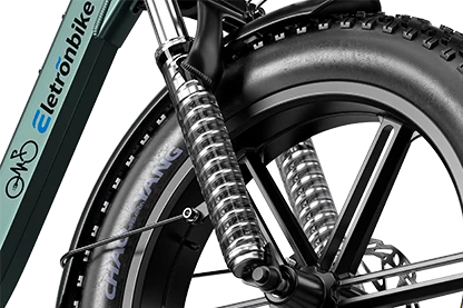 E-Bike ELETRONBIKE OC20 - Motore 250W - Batteria 48V 13 Ah- autonomia da 65km fino a 100km - Freni a disco Idraulici