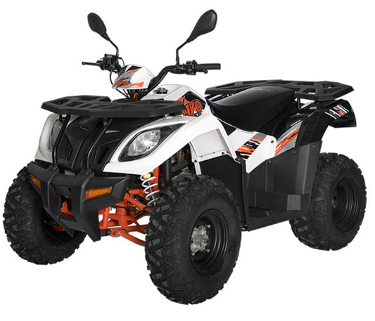 Quad Kayo AU300 T3b omologato x2   *CHIEDERE DISPONIBILITÀ TRAMITE WHATSAPP *