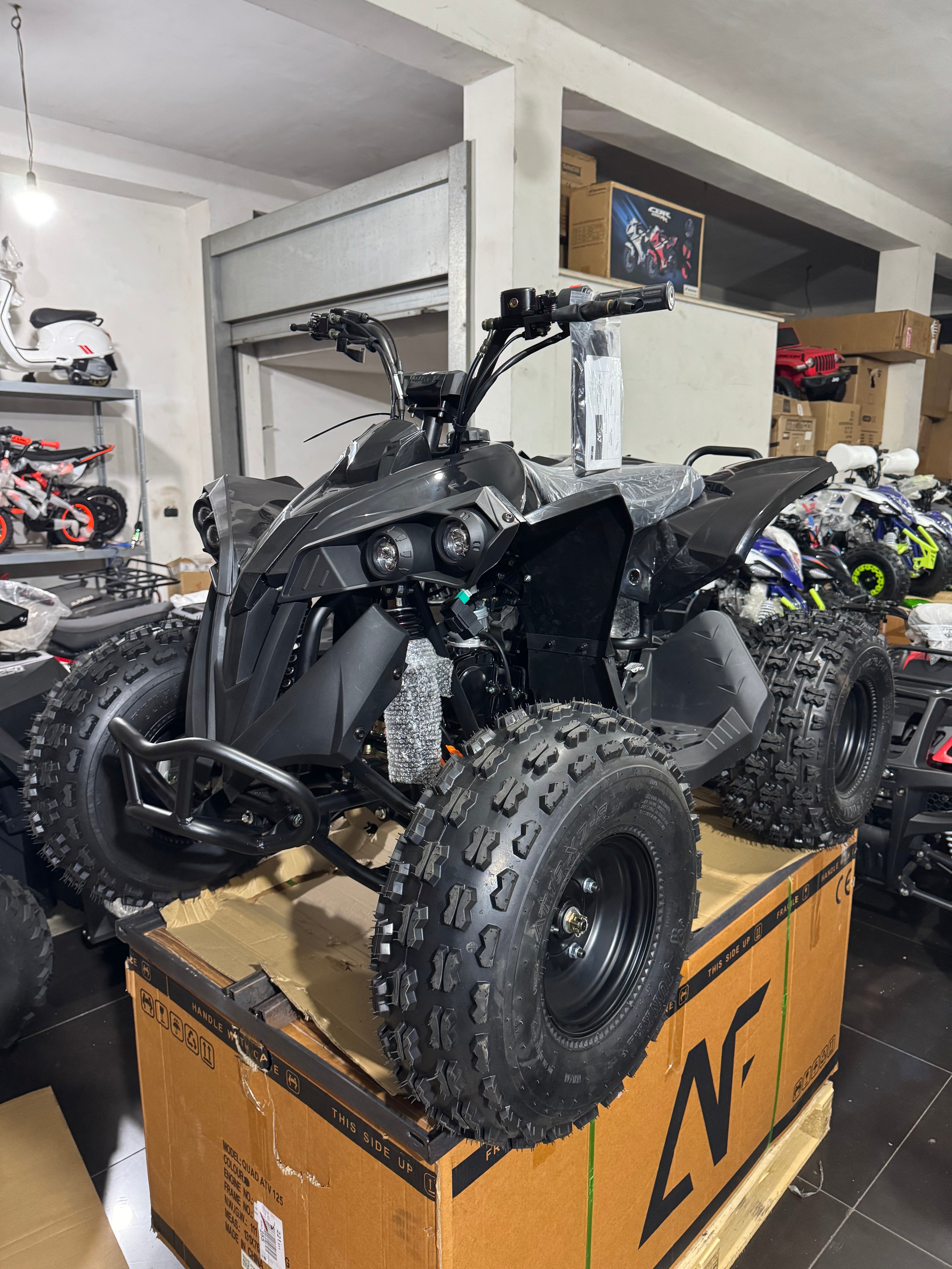Quad AF Motors RENEGADE 125cc 4 Tempi  Ruote 8” 1 + R TOTAL BLACK