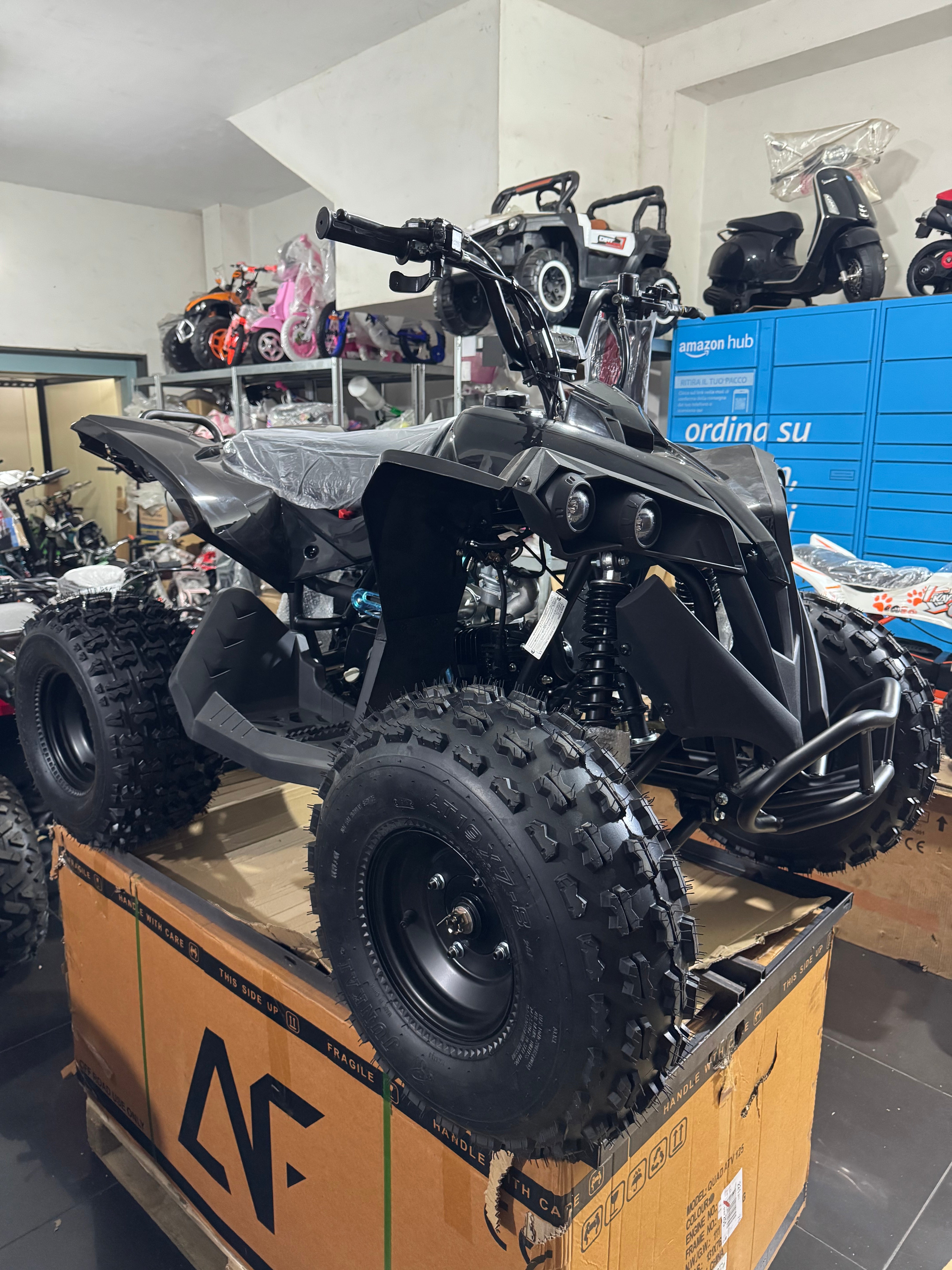 Quad AF Motors RENEGADE 125cc 4 Tempi  Ruote 8” 1 + R TOTAL BLACK