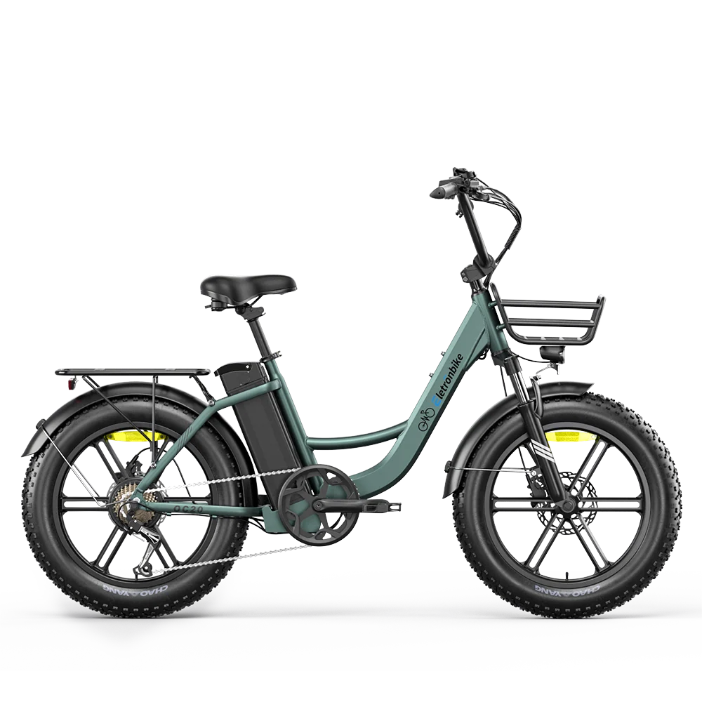 E-Bike ELETRONBIKE OC20 - Motore 250W - Batteria 48V 13 Ah- autonomia da 65km fino a 100km - Freni a disco Idraulici