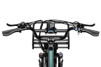 E-Bike ELETRONBIKE OC20 - Motore 250W - Batteria 48V 13 Ah- autonomia da 65km fino a 100km - Freni a disco Idraulici