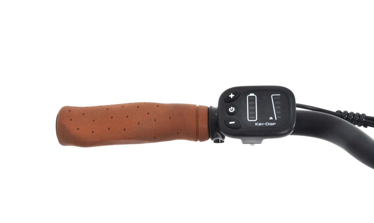 F.LLI SCHIANO City e-bike donna 28″ alluminio forcella ammortizzata Motore 250W Batteria 36V 10.4 ah Bianca