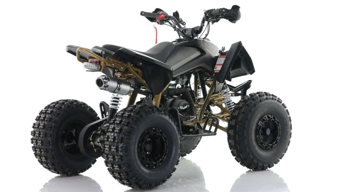 Quad Cvm Guazzoni Falcon - Motore 125 cc 4 Tempi Cilindro Singolo - Automatico 1 + N + R - Ruote 8”