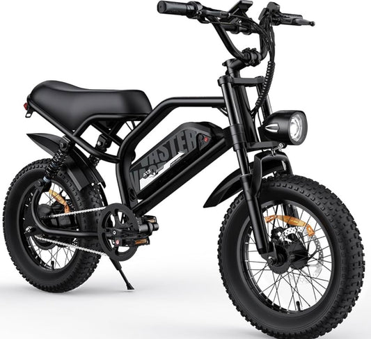 E-Bike Avdleu A13 - Motore 250W - Batteria Rimovibile 36V 12,8Ah - Fat Bike 16"x3.0"-  Grande Display LCD - Doppia Sospensione - Freni a Disco- Luci LED - E-bike per Adulti e Ragazzi