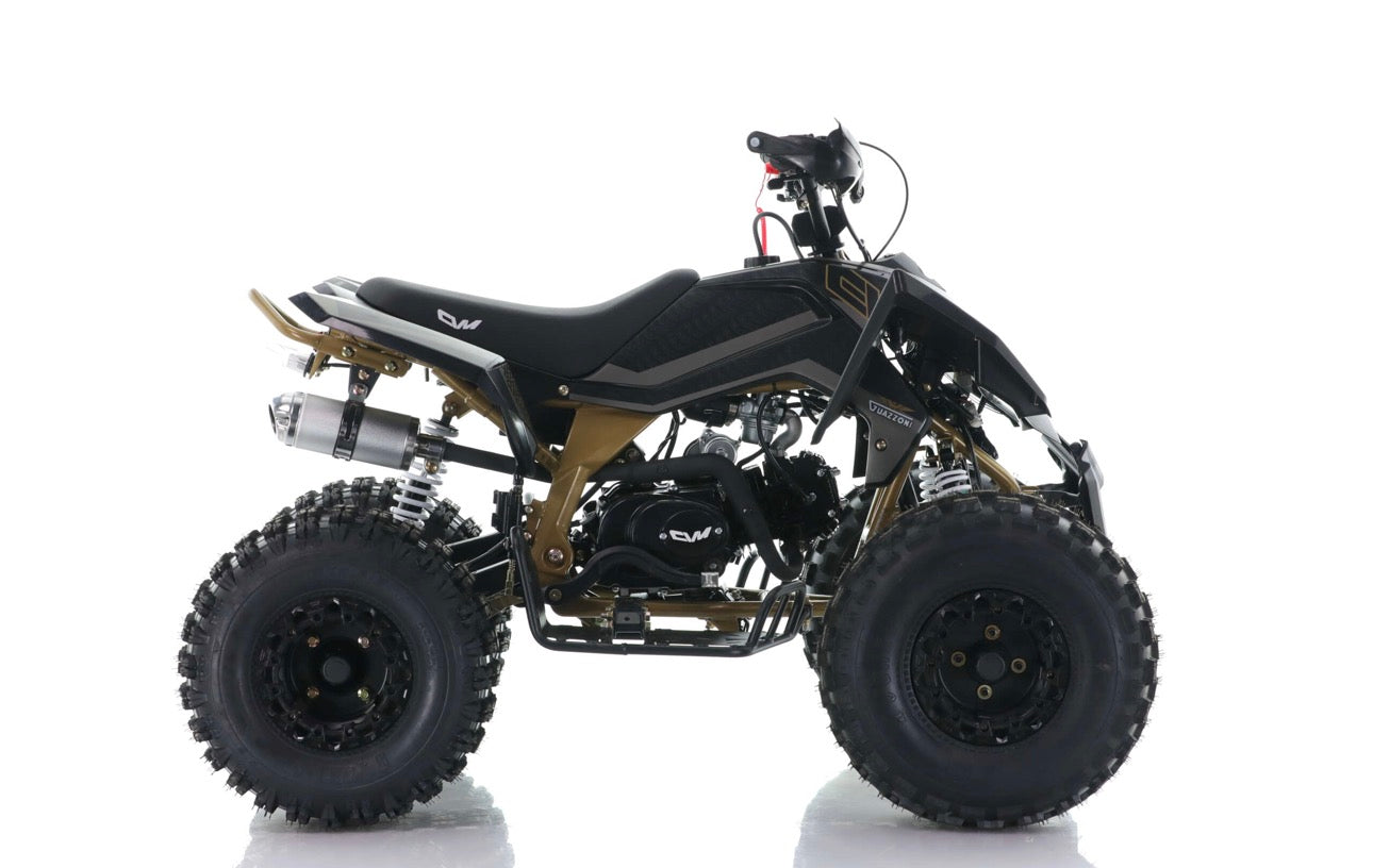 Quad Cvm Guazzoni Falcon - Motore 125 cc 4 Tempi Cilindro Singolo - Automatico 1 + N + R - Ruote 8”