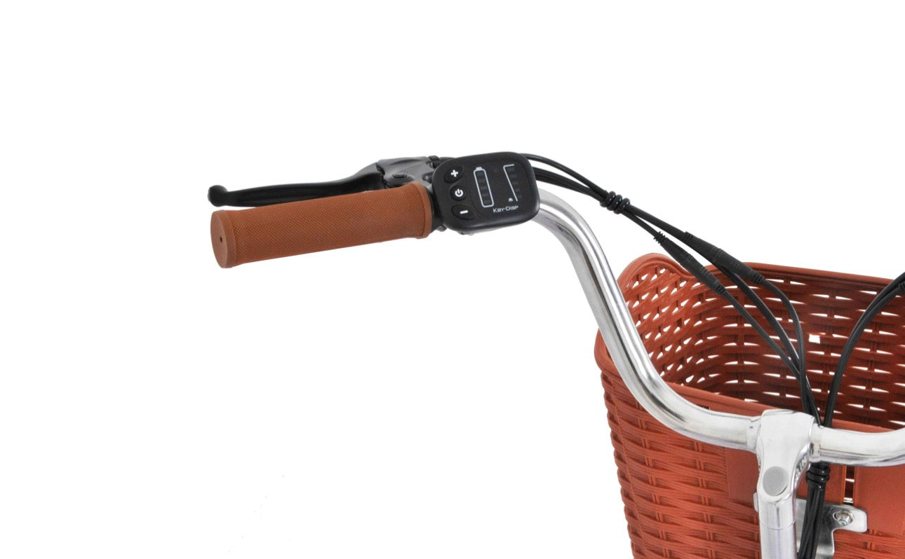 F.LLI SCHIANO E-Graziella Pieghevole 20″ acciaio motore 250W Batteria 36V 7.8 ah Bianca