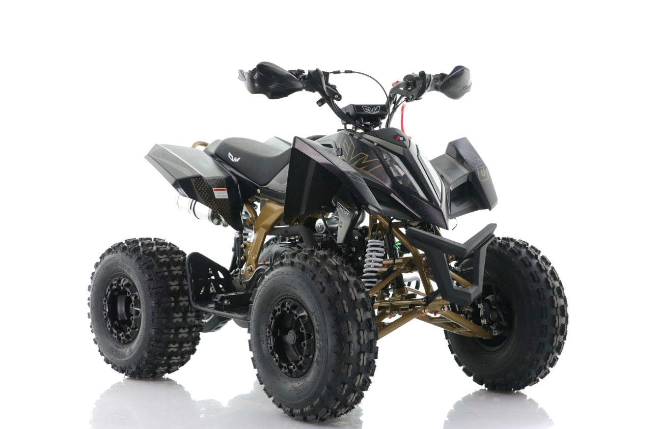 Quad Cvm Guazzoni Falcon - Motore 125 cc 4 Tempi Cilindro Singolo - Automatico 1 + N + R - Ruote 8”