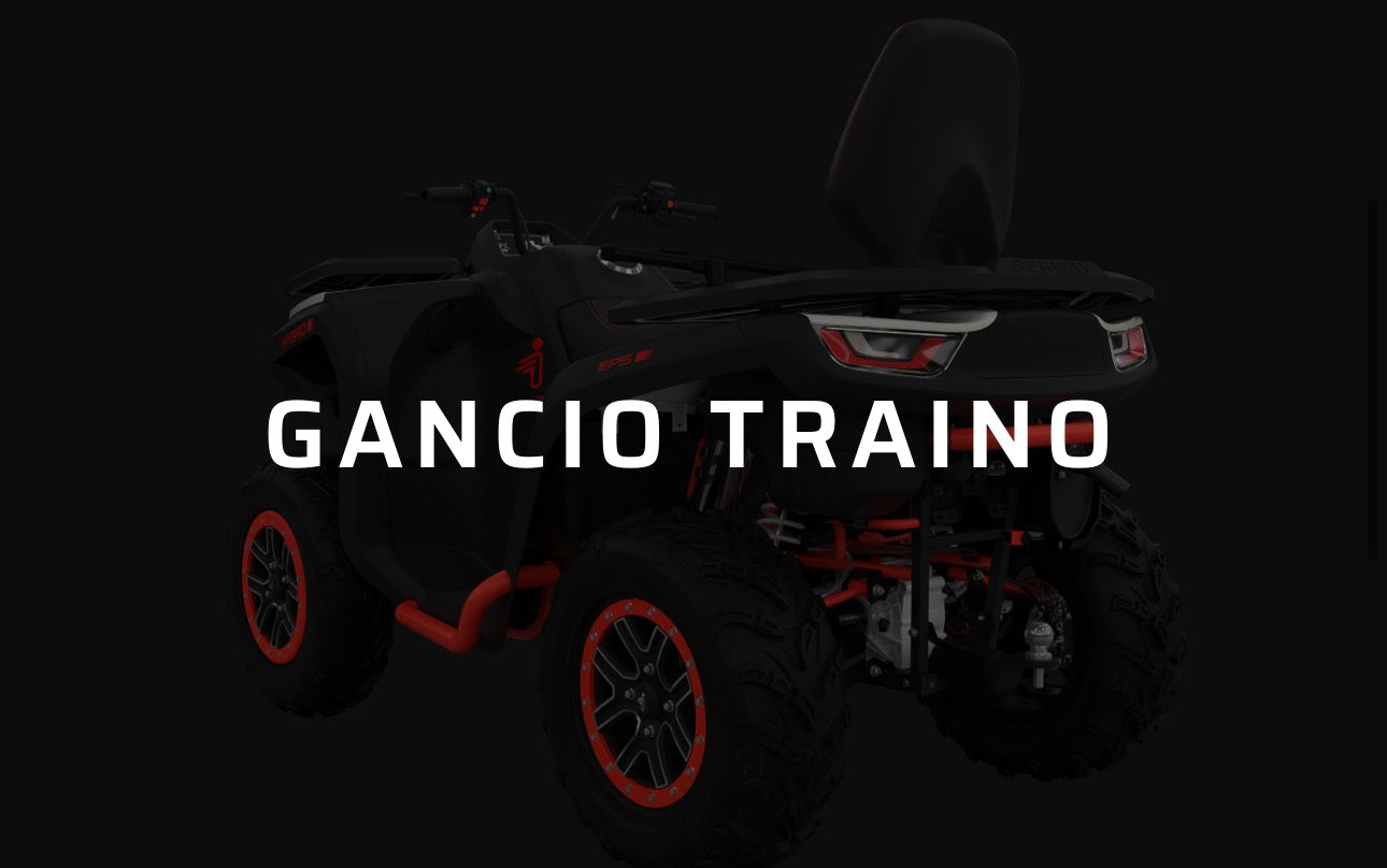 QUAD SEGWAY SNARLER AT6 L 4x4 PASSO LUNGO DELUX 600cc EURO 5  “PROMOZIONE VALIDA FINO AL 30/06” “CHIEDERE INFO SU WHATSAPP”