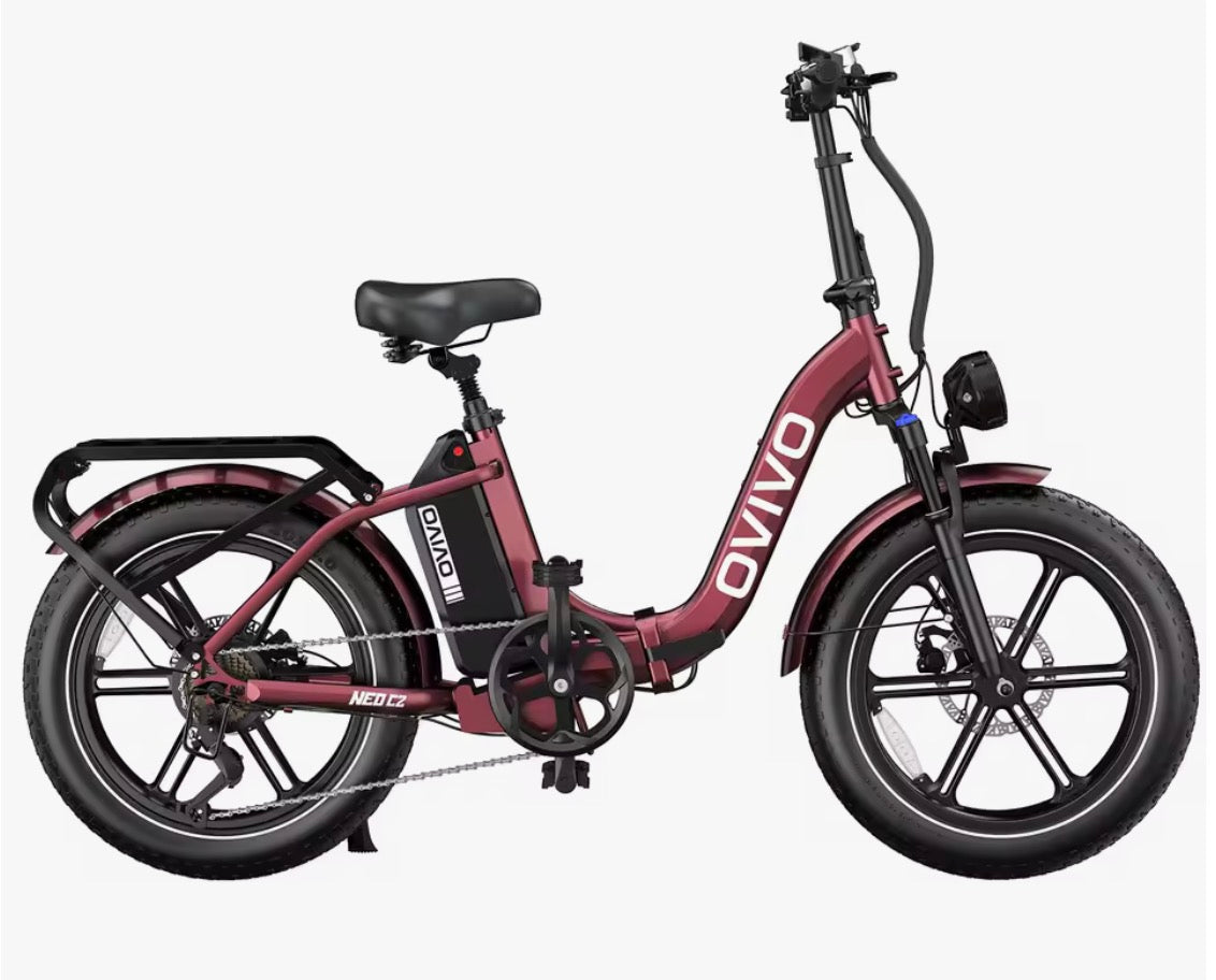 E-Bike Ovivo Neo C2 con Motore Bafang 250W 70Nm e Super Batteria 48V 18Ah fino a 120km di Autonomia, Freni Idraulici