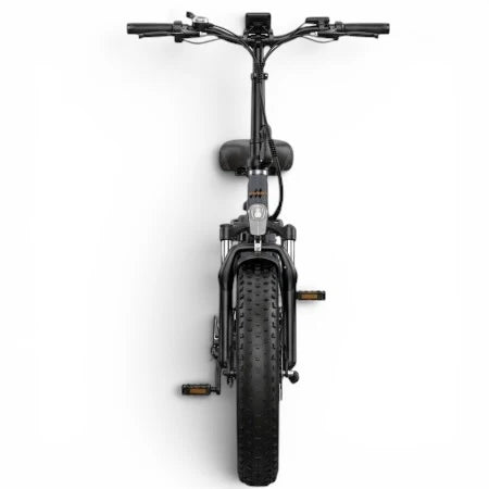 E-Bike HillMiles - Motore 250W - Batteria 48V 13Ah - Ruote 20x4.00 - Freni a disco Idraulici