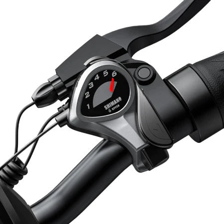 E-Bike HillMiles - Motore 250W - Batteria 48V 13Ah - Ruote 20x4.00 - Freni a disco Idraulici