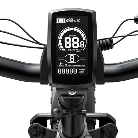 E-Bike HillMiles - Motore 250W - Batteria 48V 13Ah - Ruote 20x4.00 - Freni a disco Idraulici