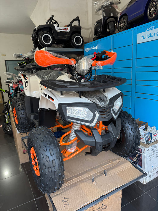 Quad Hunter 125 cc 4 tempi 1 + R Ruote 8”