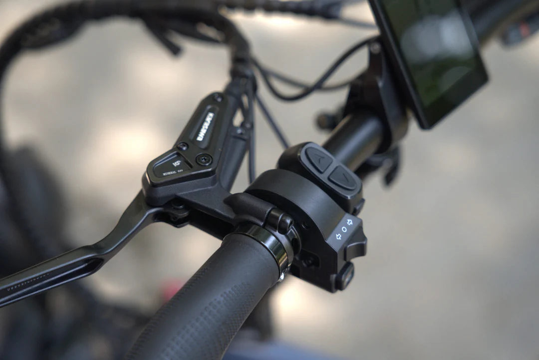 E-Bike RKS NERO M , 70 km di Autonomia, Motore 250W e Batteria Rimovibile al Litio da 48V – 13,5Ah con Doppio Freno idraulico e Ruote 20x4,5