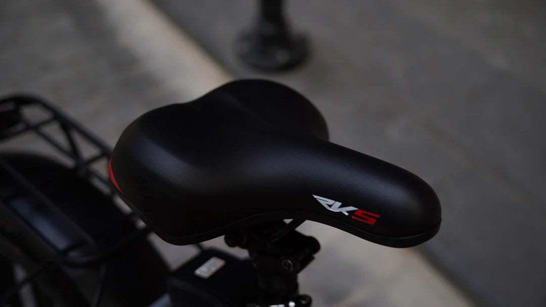 E-Bike RKS NERO M , 70 km di Autonomia, Motore 250W e Batteria Rimovibile al Litio da 48V – 13,5Ah con Doppio Freno idraulico e Ruote 20x4,5