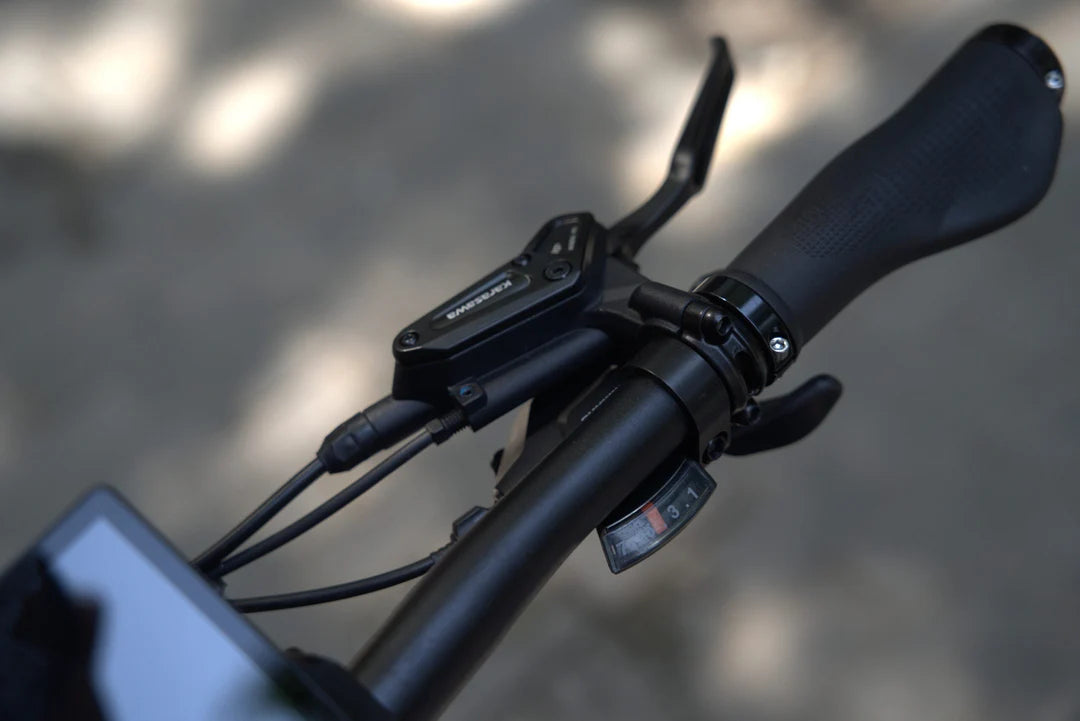 E-Bike RKS NERO M , 70 km di Autonomia, Motore 250W e Batteria Rimovibile al Litio da 48V – 13,5Ah con Doppio Freno idraulico e Ruote 20x4,5