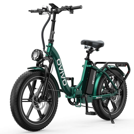 E-Bike Ovivo Neo C2 con Motore Bafang 250W 70Nm e Super Batteria 48V 18Ah fino a 120km di Autonomia, Freni Idraulici
