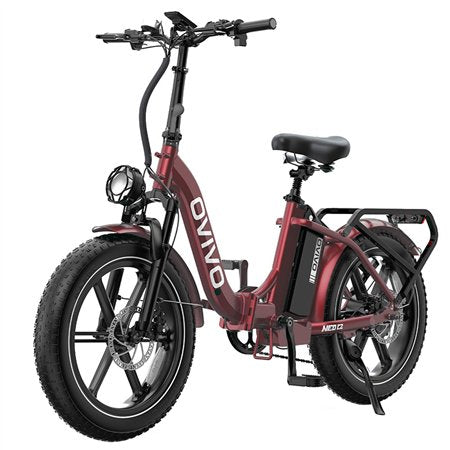 E-Bike Ovivo Neo C2 con Motore Bafang 250W 70Nm e Super Batteria 48V 18Ah fino a 120km di Autonomia, Freni Idraulici *PRODOTTO NUOVO DA ESPOSIZIONE* *SPEDITA ASSEMBLATA*
