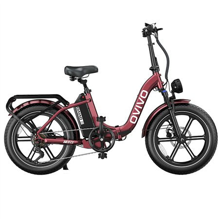 E-Bike Ovivo Neo C2 con Motore Bafang 250W 70Nm e Super Batteria 48V 18Ah fino a 120km di Autonomia, Freni Idraulici *PRODOTTO NUOVO DA ESPOSIZIONE* *SPEDITA ASSEMBLATA*