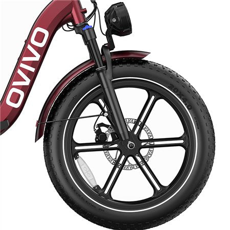 E-Bike Ovivo Neo C2 con Motore Bafang 250W 70Nm e Super Batteria 48V 18Ah fino a 120km di Autonomia, Freni Idraulici *PRODOTTO NUOVO DA ESPOSIZIONE* *SPEDITA ASSEMBLATA*