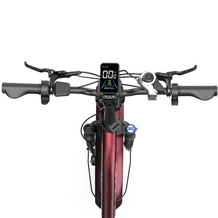 E-Bike Ovivo Neo C2 con Motore Bafang 250W 70Nm e Super Batteria 48V 18Ah fino a 120km di Autonomia, Freni Idraulici *PRODOTTO NUOVO DA ESPOSIZIONE* *SPEDITA ASSEMBLATA*